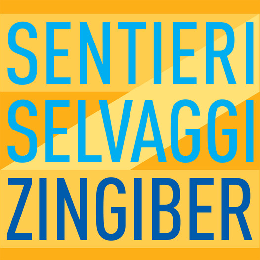 zingiber_cover_1500x1500